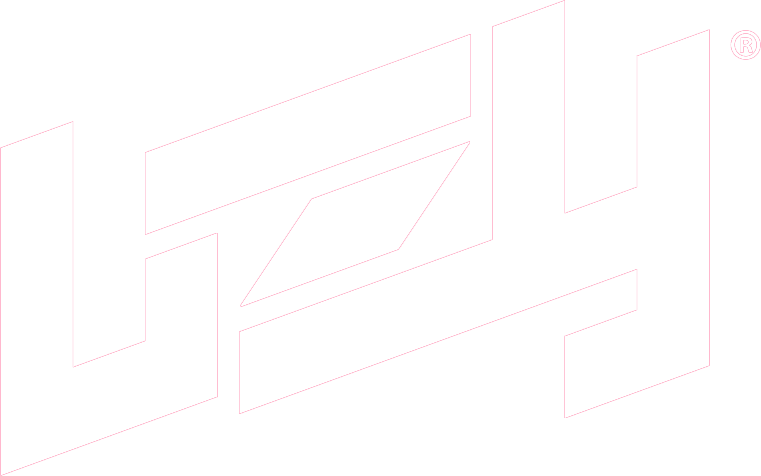 Logo bzy